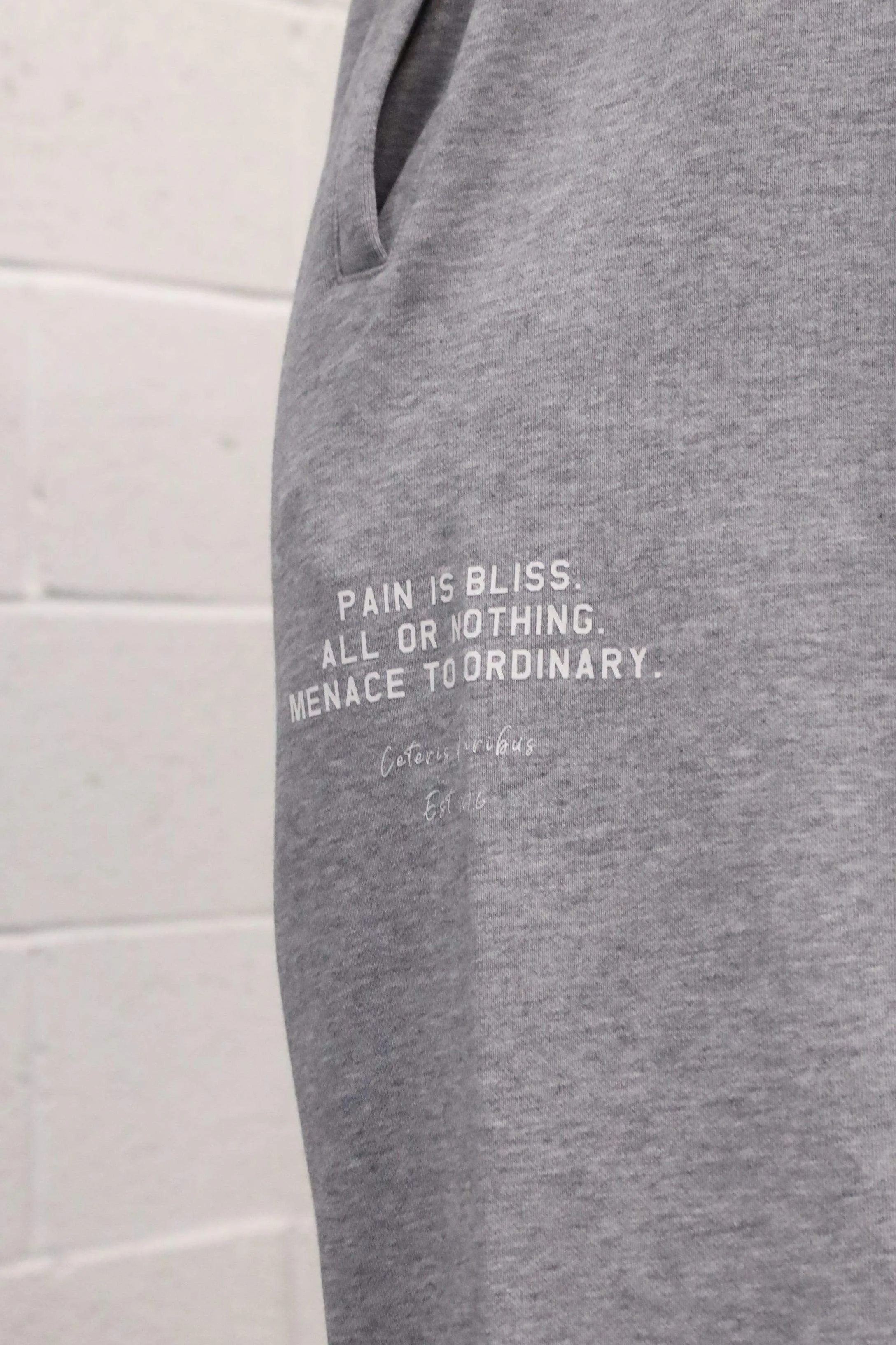 French Terry Athletic Joggers - Light Gray